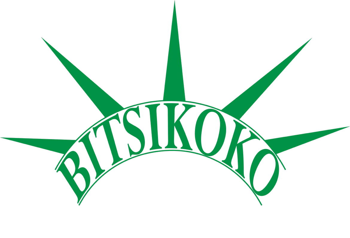 Bitsikoko
